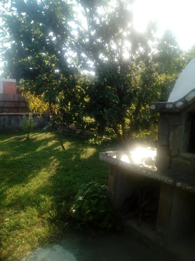 Къща За Гости Ягода 사파레바바냐 외부 사진