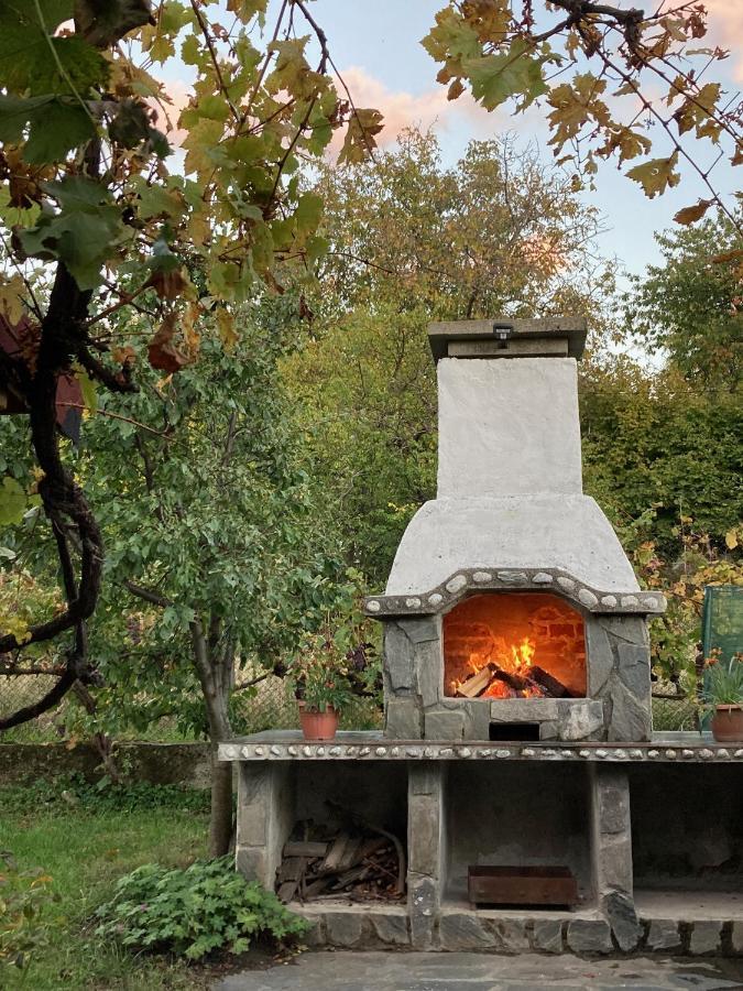 Къща За Гости Ягода 사파레바바냐 외부 사진